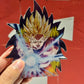 SSJ BLAST MOTION PEEKER